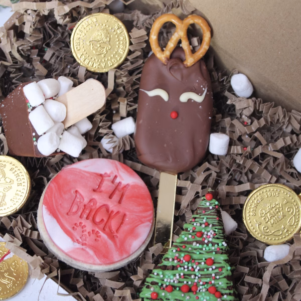 ELF ON THE SHELF - POSTAL BOX!